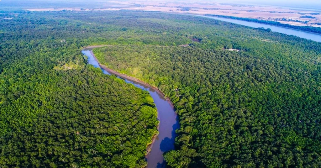 Bhitarkanika National Park